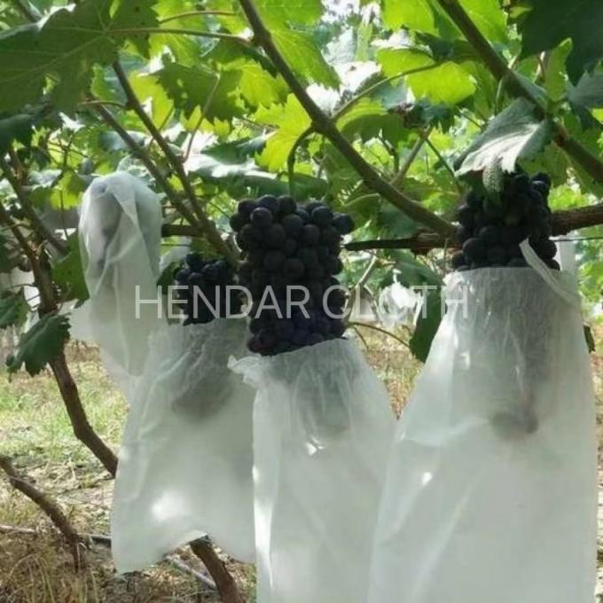 Fruit Wrapping Cloth PP Spunbond Nonwoven Fabric 3200mm Customized For Agriculture 1